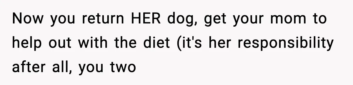 Sister Takes Away Her Depression Dog After Finding It Severely Overweight and Neglected Now you return HER dog, get your mom to help out with the diet (it's her responsibility after all, you two