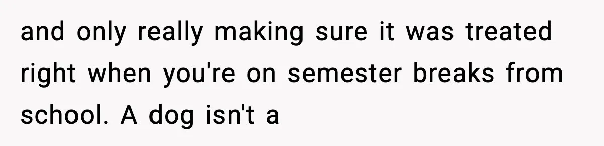 Sister Takes Away Her Depression Dog After Finding It Severely Overweight and Neglected and only really making sure it was treated right when you're on semester breaks from school. A dog isn't a