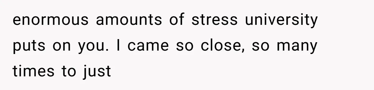enormous amounts of stress university puts on you. I came so close, so many times to just