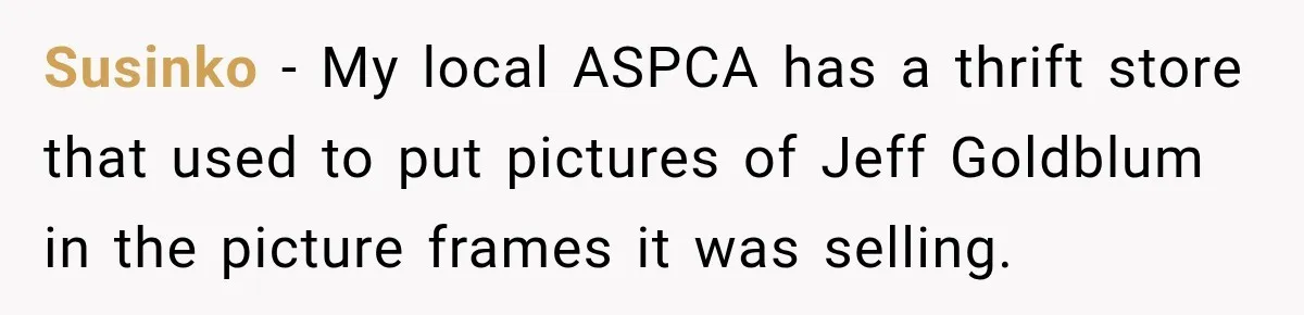 Susinko − My local ASPCA has a thrift store that used to put pictures of Jeff Goldblum in the picture frames it was selling.