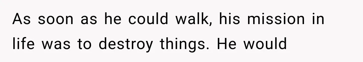 As soon as he could walk, his mission in life was to destroy things. He would