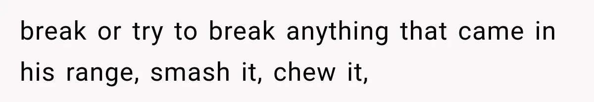 break or try to break anything that came in his range, smash it, chew it,