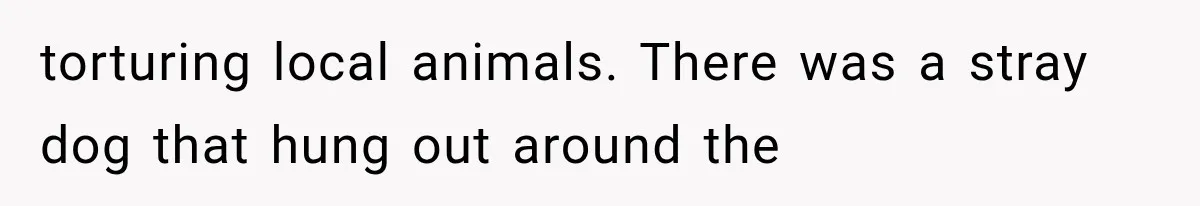 torturing local animals. There was a stray dog that hung out around the