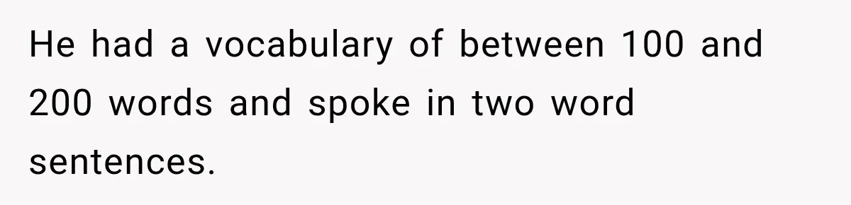 Grandma Keeps Searching For Diagnoses, But Mom Says Her Kids Are Doing Fine He had a vocabulary of between 100 and 200 words and spoke in two word sentences.