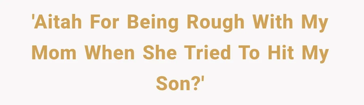 'AITAH for being Rough with my mom when she tried to hit my son?'