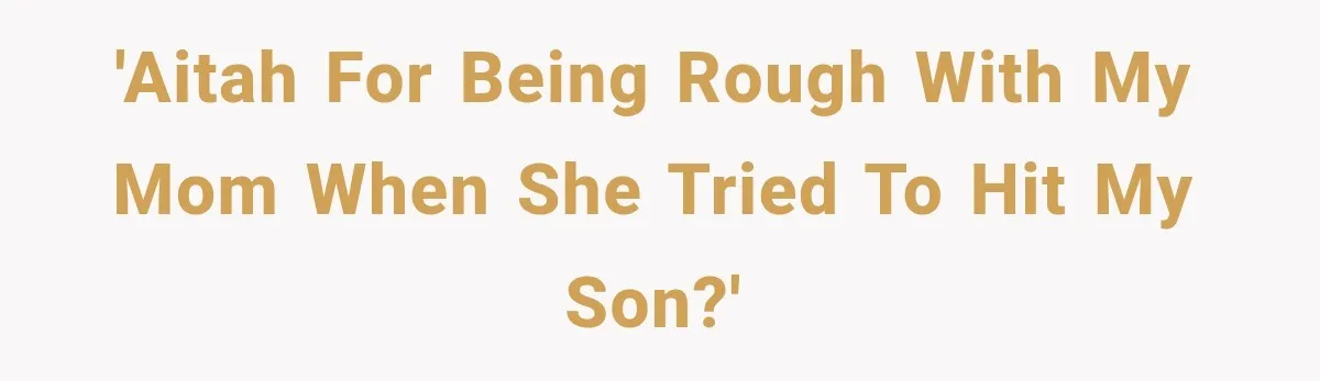 'AITAH for being Rough with my mom when she tried to hit my son?'