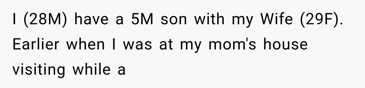 I (28M) have a 5M son with my Wife (29F). Earlier when I was at my mom's house visiting while a
