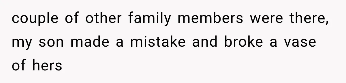 couple of other family members were there, my son made a mistake and broke a vase of hers