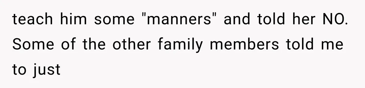 teach him some "manners" and told her NO. Some of the other family members told me to just