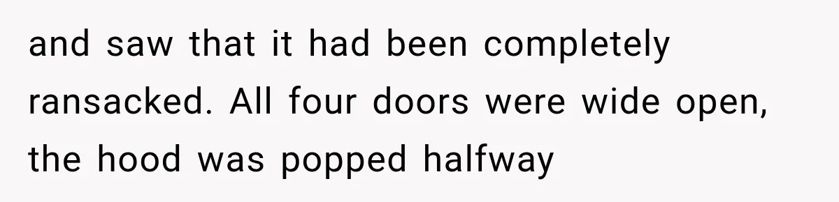 and saw that it had been completely ransacked. All four doors were wide open, the hood was popped halfway