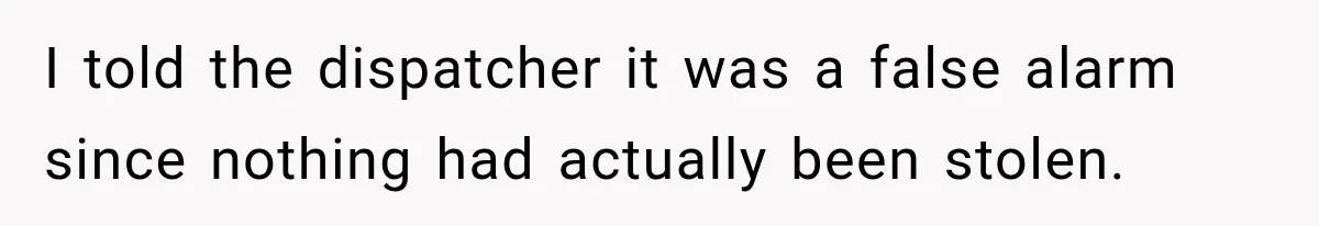 I told the dispatcher it was a false alarm since nothing had actually been stolen.
