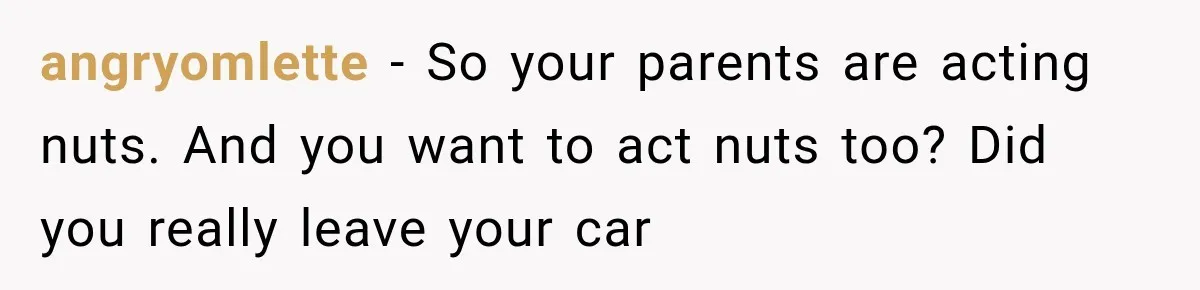 angryomlette − So your parents are acting nuts. And you want to act nuts too? Did you really leave your car