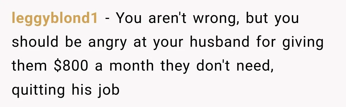 Woman Supports Her Husband’s Parents, Until She Realizes She’s Funding Their Retirement leggyblond1 − You aren't wrong, but you should be angry at your husband for giving them $800 a month they don't need, quitting his job