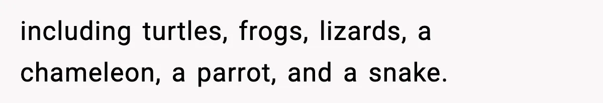 including turtles, frogs, lizards, a chameleon, a parrot, and a snake.