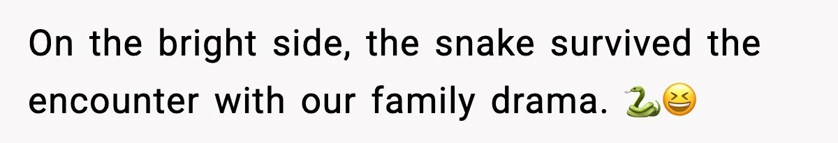 On the bright side, the snake survived the encounter with our family drama. 🐍😆