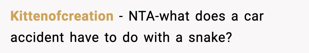 Kittenofcreation − NTA-what does a car accident have to do with a snake?