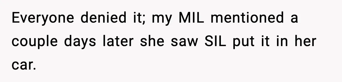 Couple Bans Thieving In-Laws After They Keep Taking Small Items From Their Home Everyone denied it; my MIL mentioned a couple days later she saw SIL put it in her car.