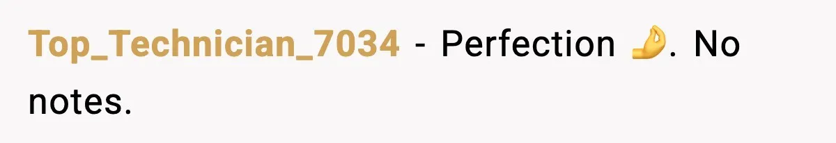 Top_Technician_7034 − Perfection 🤌. No notes.
