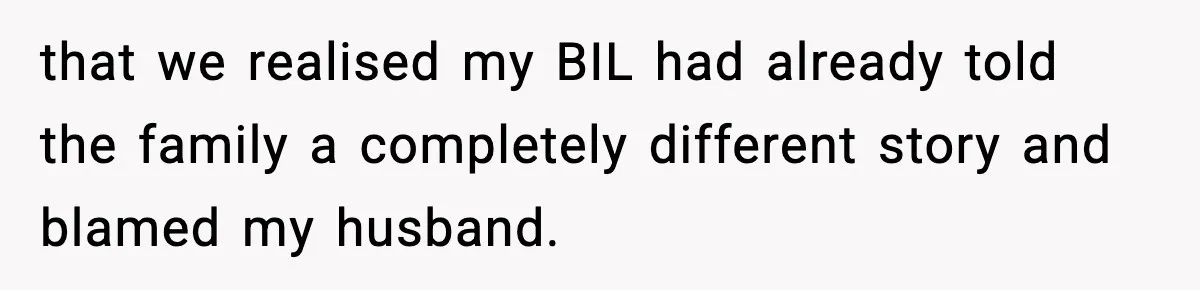 that we realised my BIL had already told the family a completely different story and blamed my husband.