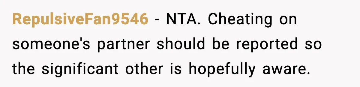 RepulsiveFan9546 − NTA. Cheating on someone's partner should be reported so the significant other is hopefully aware.
