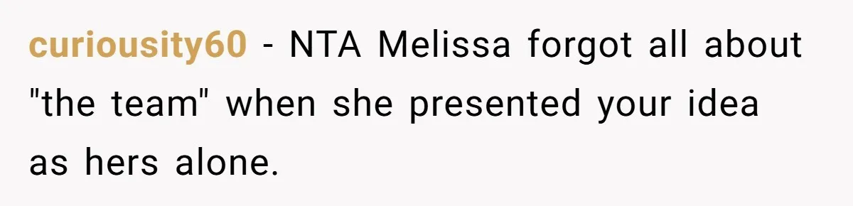 curiousity60 − NTA Melissa forgot all about "the team" when she presented your idea as hers alone.
