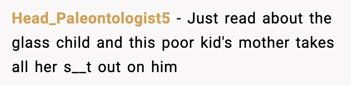 Mom Quietly Teaches Another Parent A Lesson After Seeing How She Treated Her Son Head_Paleontologist5 − Just read about the glass child and this poor kid's mother takes all her s__t out on him