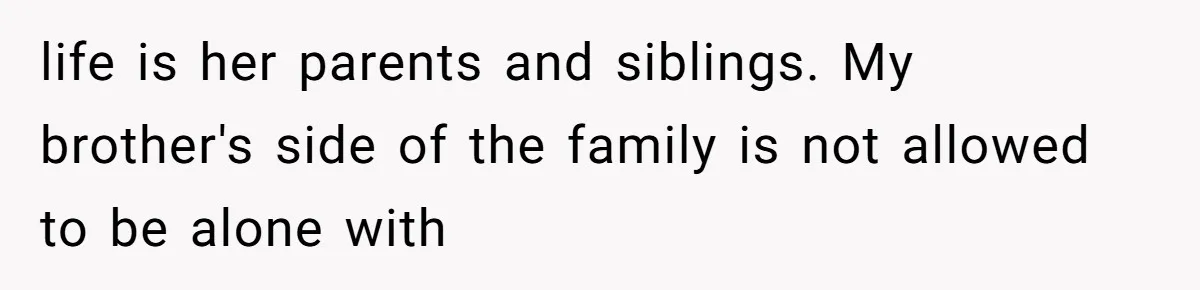 Woman Refuses to House SIL Who Spent Six Years Treating Her Like a Threat to Her Own Nephew life is her parents and siblings. My brother's side of the family is not allowed to be alone with