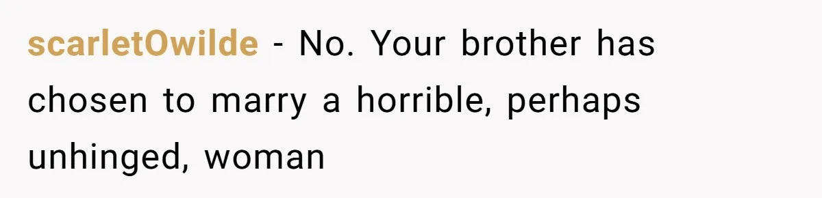 Woman Refuses to House SIL Who Spent Six Years Treating Her Like a Threat to Her Own Nephew scarletOwilde − No. Your brother has chosen to marry a horrible, perhaps unhinged, woman