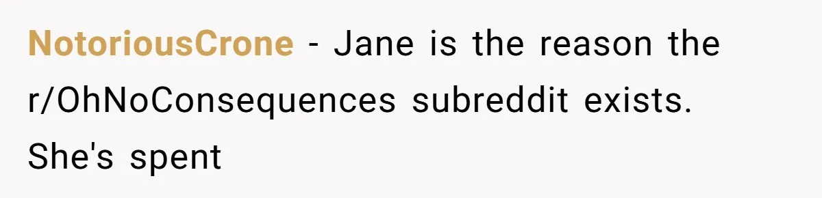 Woman Refuses to House SIL Who Spent Six Years Treating Her Like a Threat to Her Own Nephew NotoriousCrone − Jane is the reason the r/OhNoConsequences subreddit exists. She's spent