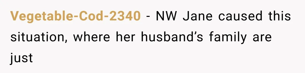 Woman Refuses to House SIL Who Spent Six Years Treating Her Like a Threat to Her Own Nephew Vegetable-Cod-2340 − NW Jane caused this situation, where her husband’s family are just