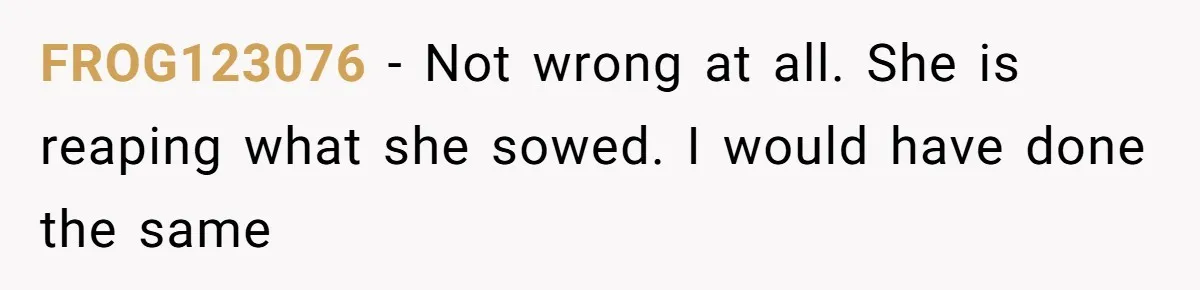 Woman Refuses to House SIL Who Spent Six Years Treating Her Like a Threat to Her Own Nephew FROG123076 − Not wrong at all. She is reaping what she sowed. I would have done the same