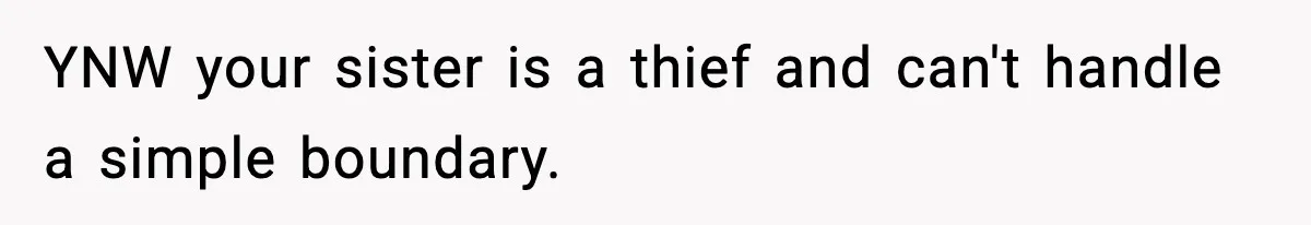 YNW your sister is a thief and can't handle a simple boundary.