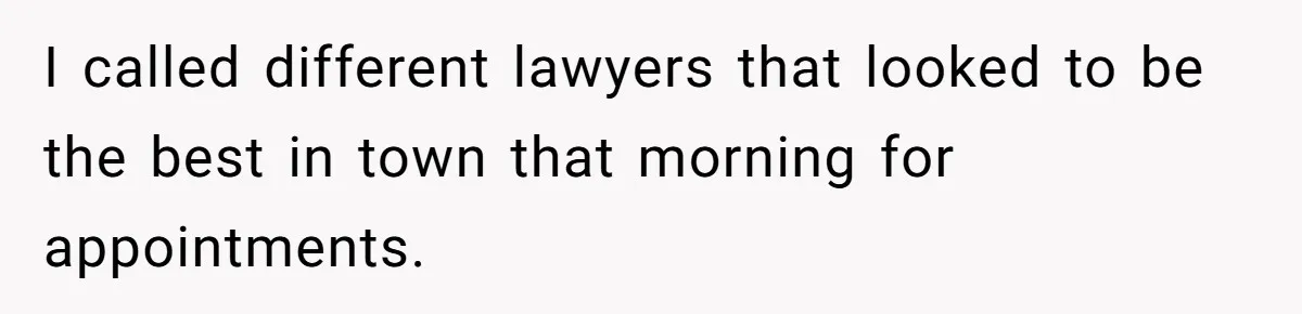 I called different lawyers that looked to be the best in town that morning for appointments.