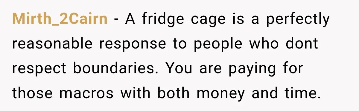 Mirth_2Cairn − A fridge cage is a perfectly reasonable response to people who dont respect boundaries. You are paying for those macros with both money and time.