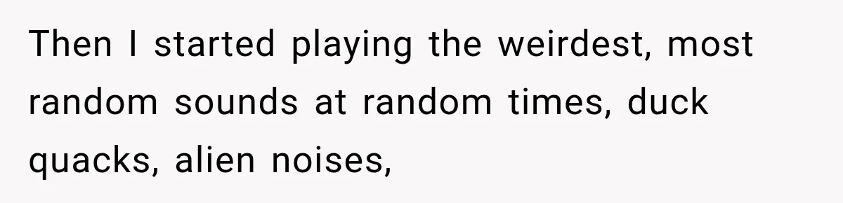Then I started playing the weirdest, most random sounds at random times, duck quacks, alien noises,