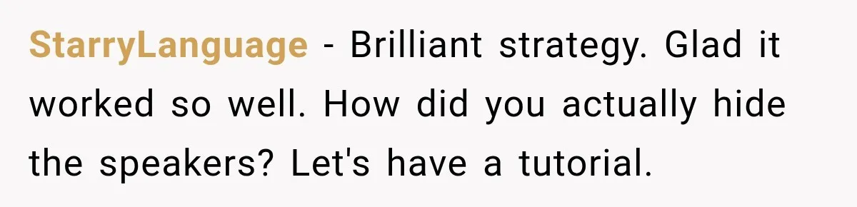 StarryLanguage − Brilliant strategy. Glad it worked so well. How did you actually hide the speakers? Let's have a tutorial.