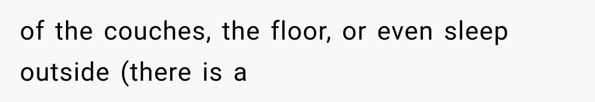 of the couches, the floor, or even sleep outside (there is a