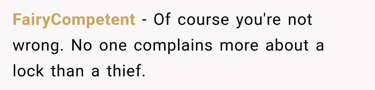 FairyCompetent − Of course you're not wrong. No one complains more about a lock than a thief.