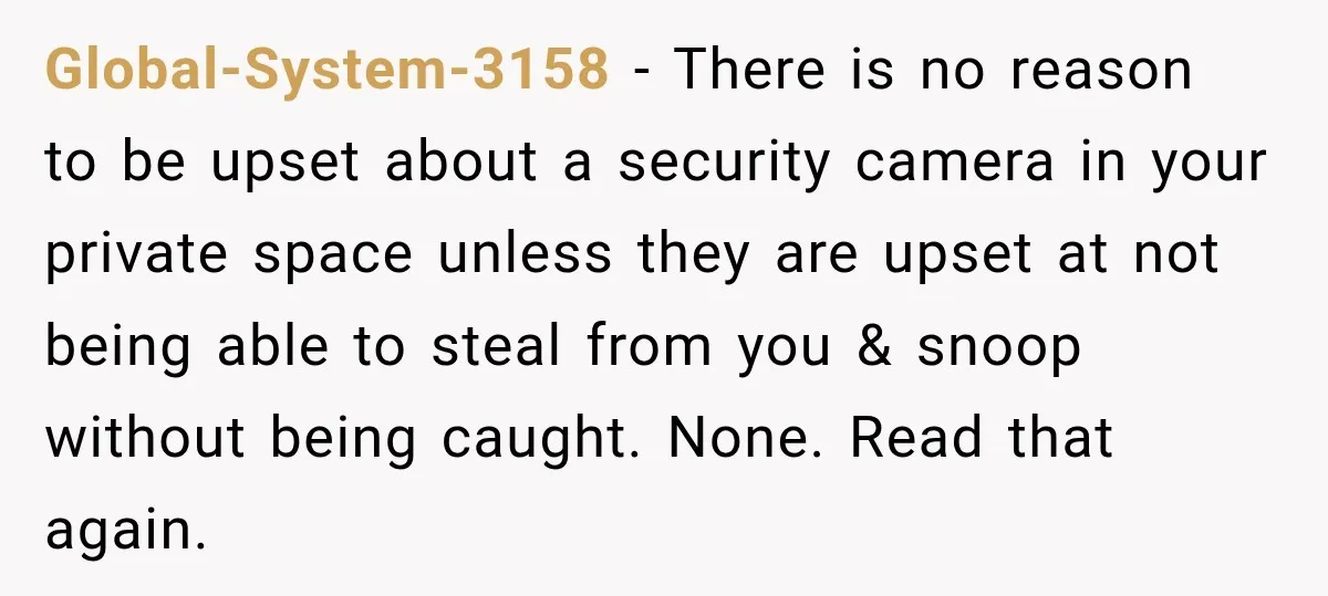 Global-System-3158 − There is no reason to be upset about a security camera in your private space unless they are upset at not being able to steal from you &...