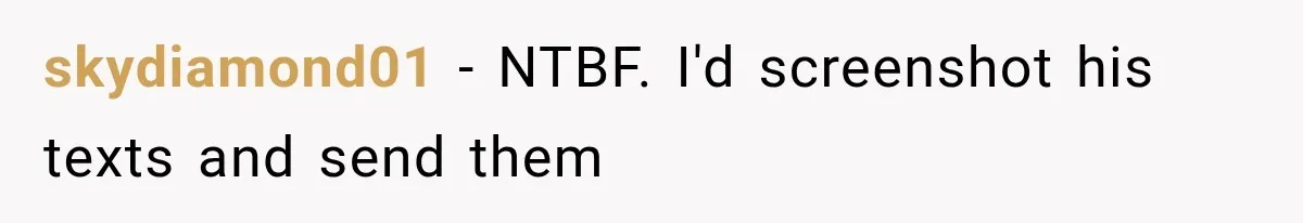 skydiamond01 − NTBF. I'd screenshot his texts and send them