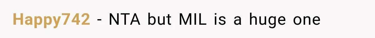 Happy742 − NTA but MIL is a huge one