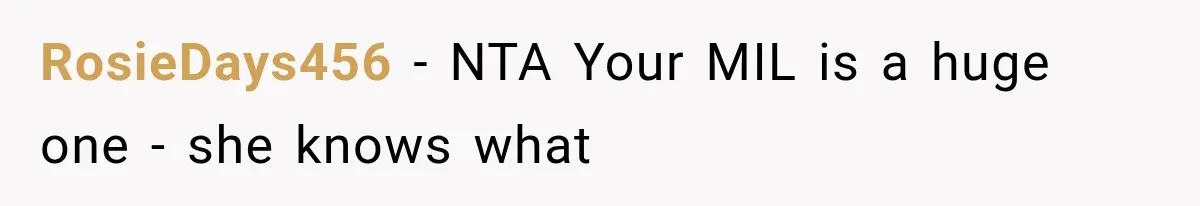RosieDays456 − NTA Your MIL is a huge one - she knows what