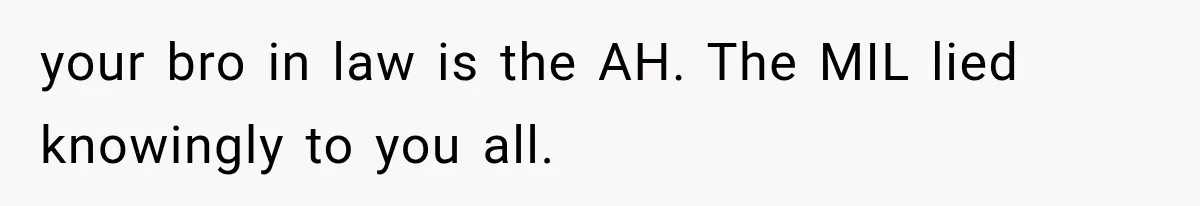your bro in law is the AH. The MIL lied knowingly to you all.