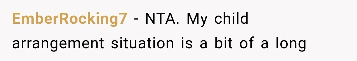 EmberRocking7 − NTA. My child arrangement situation is a bit of a long