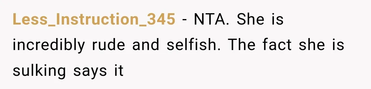 Less_Instruction_345 − NTA. She is incredibly rude and selfish. The fact she is sulking says it