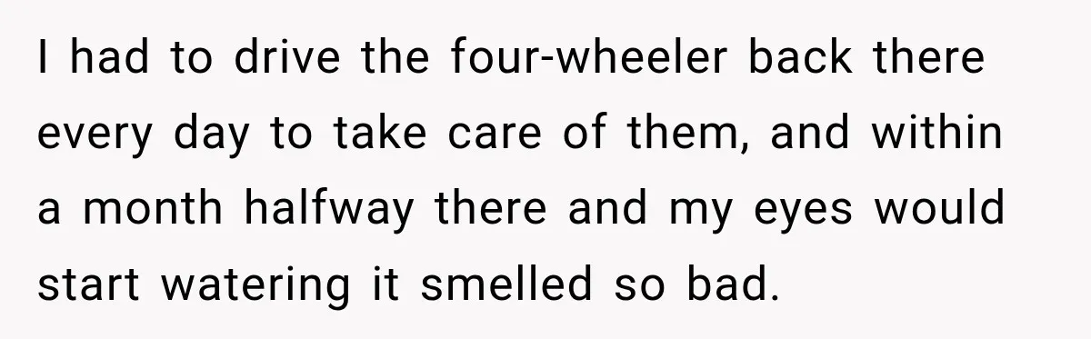 Neighbor Sued Over Six Inches of Fence, So This Rancher Gave Him Exactly What He Asked For I had to drive the four-wheeler back there every day to take care of them, and within a month halfway there and my eyes would start watering it smelled so...