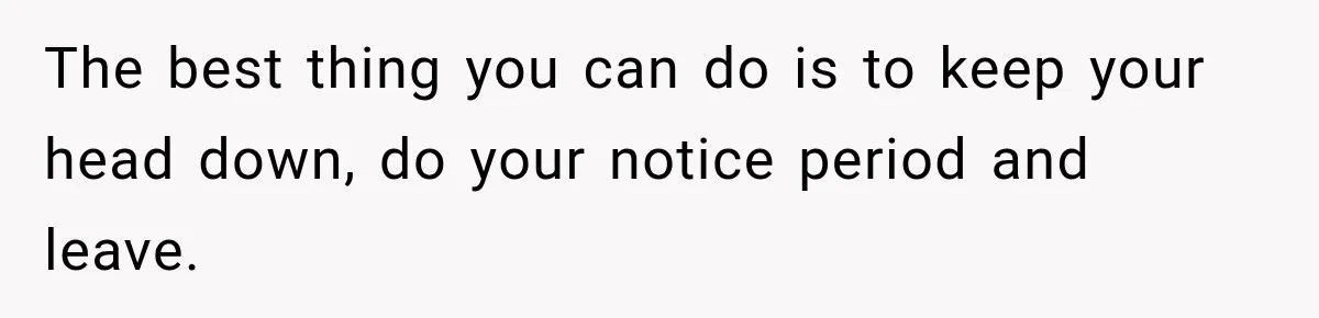 The best thing you can do is to keep your head down, do your notice period and leave.