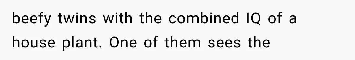 beefy twins with the combined IQ of a house plant. One of them sees the