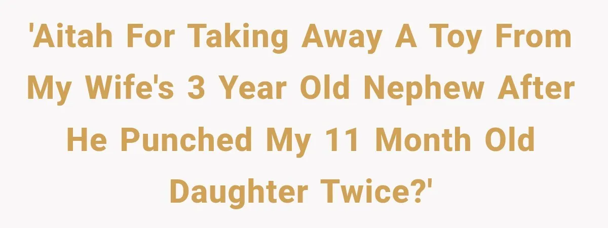 'AITAH for taking away a toy from my wife's 3 year old nephew after he punched my 11 month old daughter twice?'