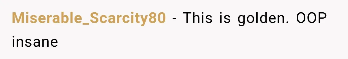 Miserable_Scarcity80 − This is golden. OOP insane